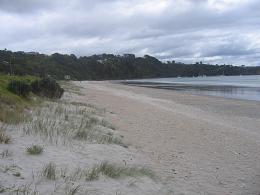 Waiheke