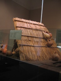 Auckland Museum - Maori Natural History