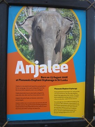 Auckland Zoo