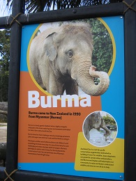 Auckland Zoo