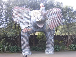 Auckland Zoo