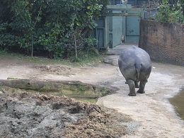 Auckland Zoo