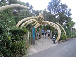 Auckland Zoo