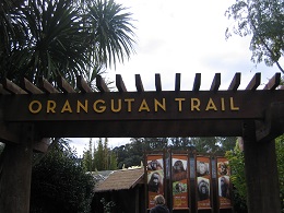 Auckland Zoo
