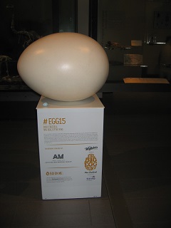 Big Egg Hunt 2015 - Auckland Museum