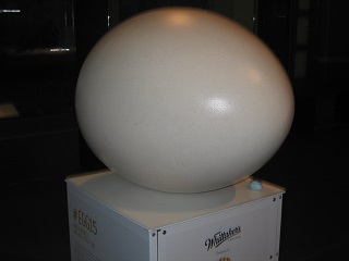 Big Egg Hunt 2015 - Auckland Museum