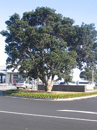 Devonport Ferry Terminal