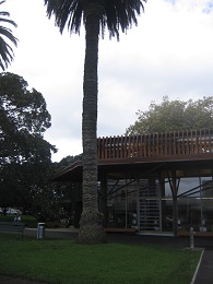 Devonport Library