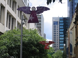 Christmas 2016 - Elliott Street Angels