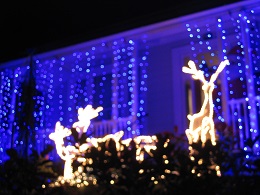 Franklin Road Christmas Lights 2015