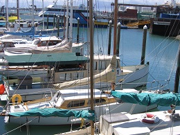 Wynyard Quarter - Heritage Landing