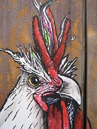 Punky Rooster