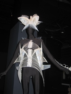 Auckland Museum - World of Wearable Arts