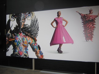 Auckland Museum - World of Wearable Arts