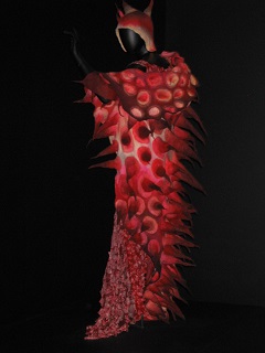 Auckland Museum - World of Wearable Arts