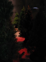 Christmas 2015 - Wynyard Quarter