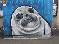 Awkward Seal