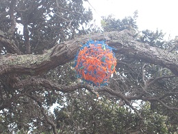 Headland: Sculpture on the Gulf