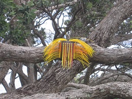 Headland: Sculpture on the Gulf