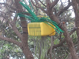 Headland: Sculpture on the Gulf