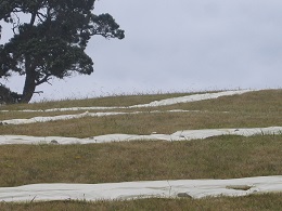 Headland: Sculpture on the Gulf