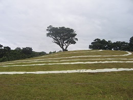 Headland: Sculpture on the Gulf