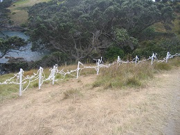 Headland: Sculpture on the Gulf