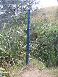 Headland: Sculpture on the Gulf