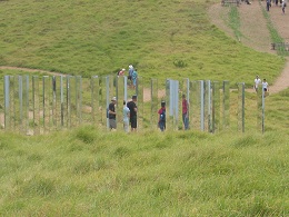 Headland: Sculpture on the Gulf