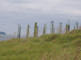 Headland: Sculpture on the Gulf