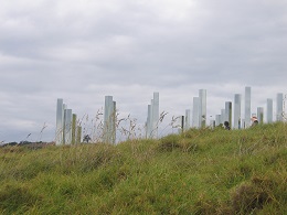 Headland: Sculpture on the Gulf
