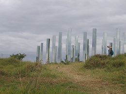Headland: Sculpture on the Gulf