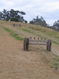 Headland: Sculpture on the Gulf