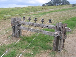 Headland: Sculpture on the Gulf