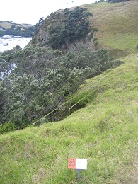 Headland: Sculpture on the Gulf