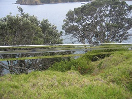 Headland: Sculpture on the Gulf