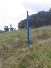 Headland: Sculpture on the Gulf