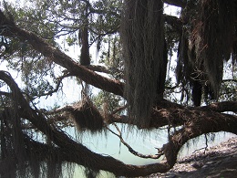 Bayswater Marina