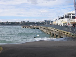 Devonport Wharf