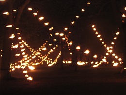 Carabosse Fire Garden