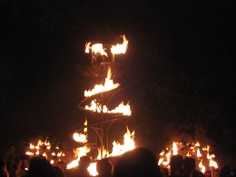 Carabosse Fire Garden