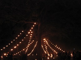 Carabosse Fire Garden