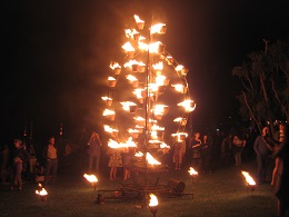 Carabosse Fire Garden