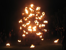 Carabosse Fire Garden