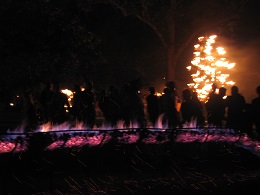 Carabosse Fire Garden