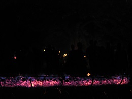 Carabosse Fire Garden