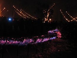 Carabosse Fire Garden