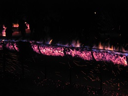 Carabosse Fire Garden