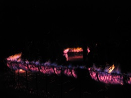 Carabosse Fire Garden