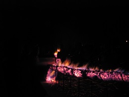 Carabosse Fire Garden